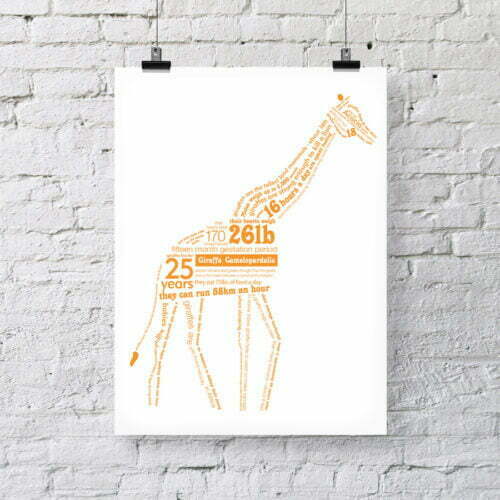 Giraffe Facts Print